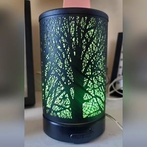 Essential oils diffuser